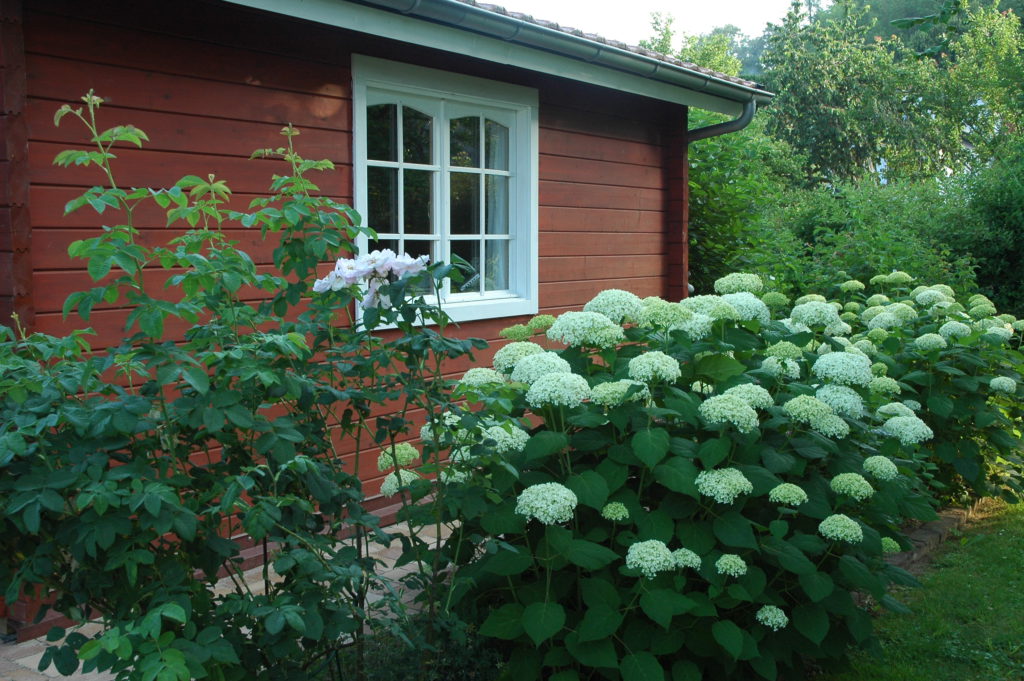 Rastenberg und Umgebung Offene Gärten Open Gardens