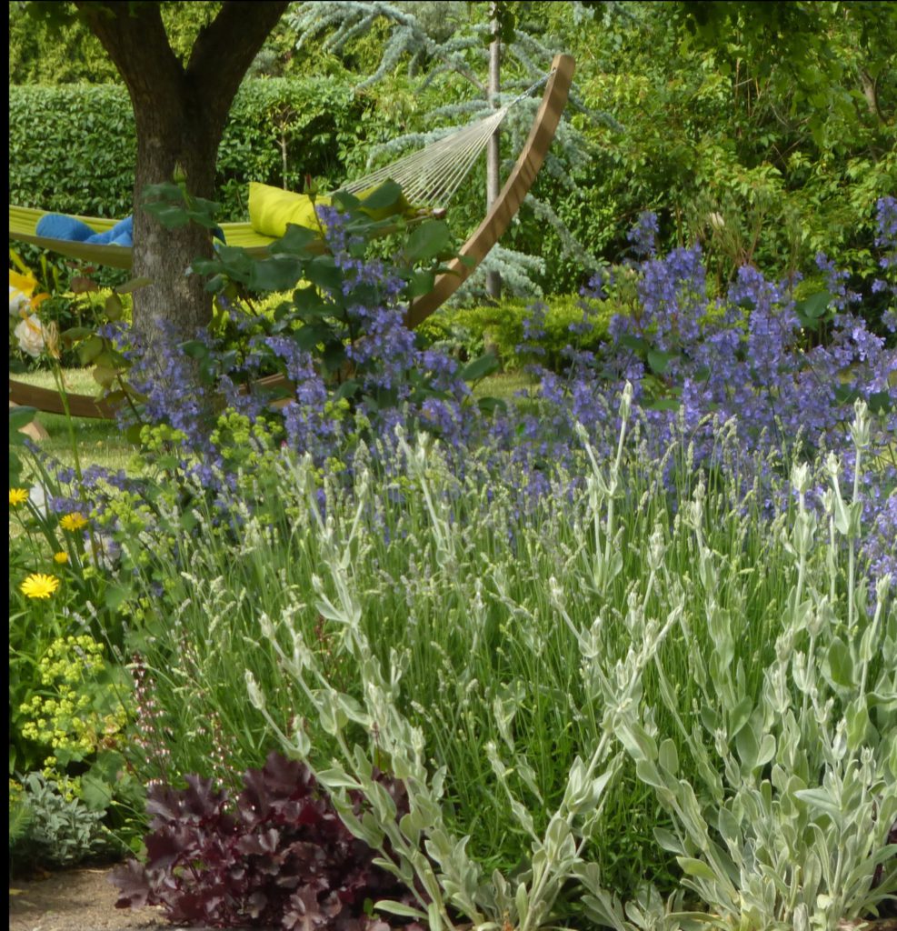 Apolda und Umgebung – Offene Gärten – Open Gardens