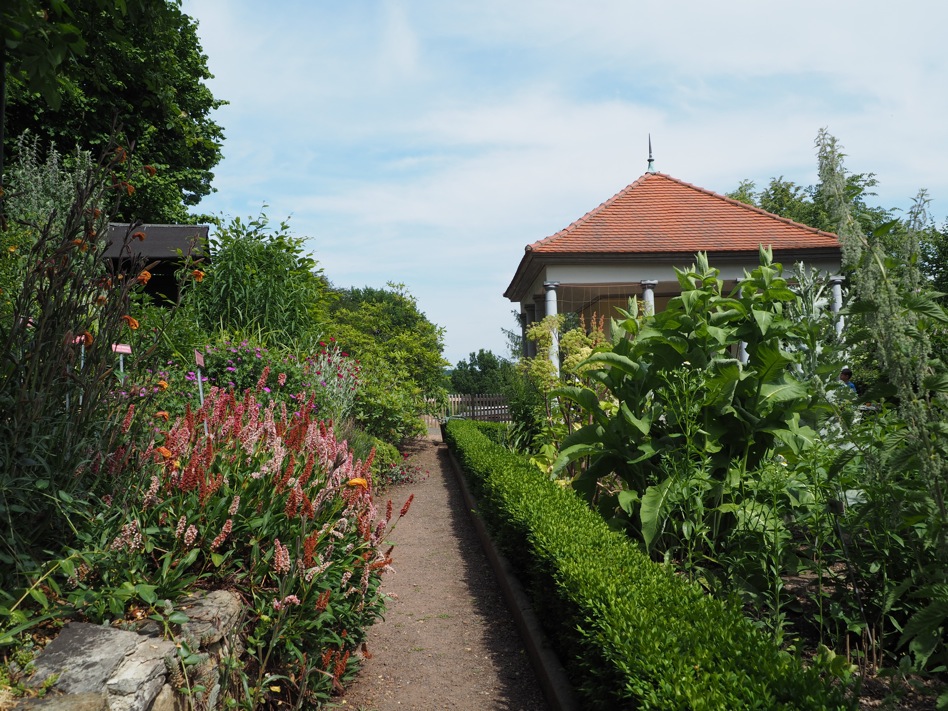 SaaleHolzlandKreis Offene Gärten Open Gardens