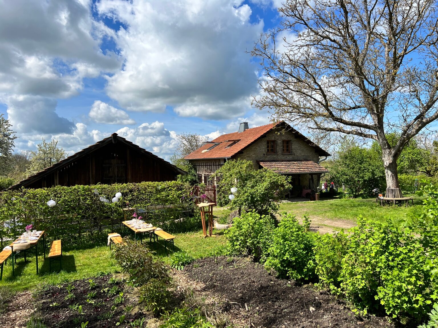 Erfurt Offene Gärten Open Gardens
