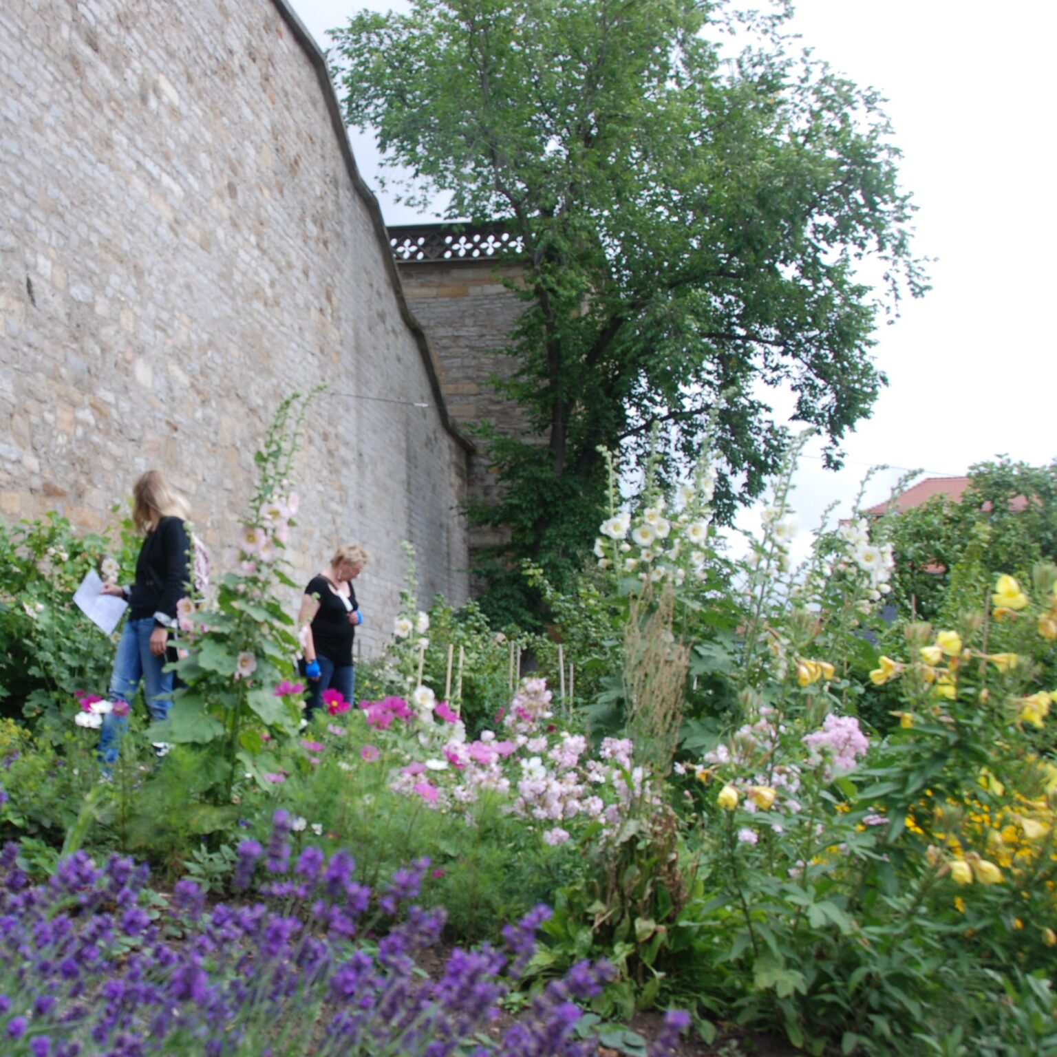 Erfurt Offene Gärten Open Gardens